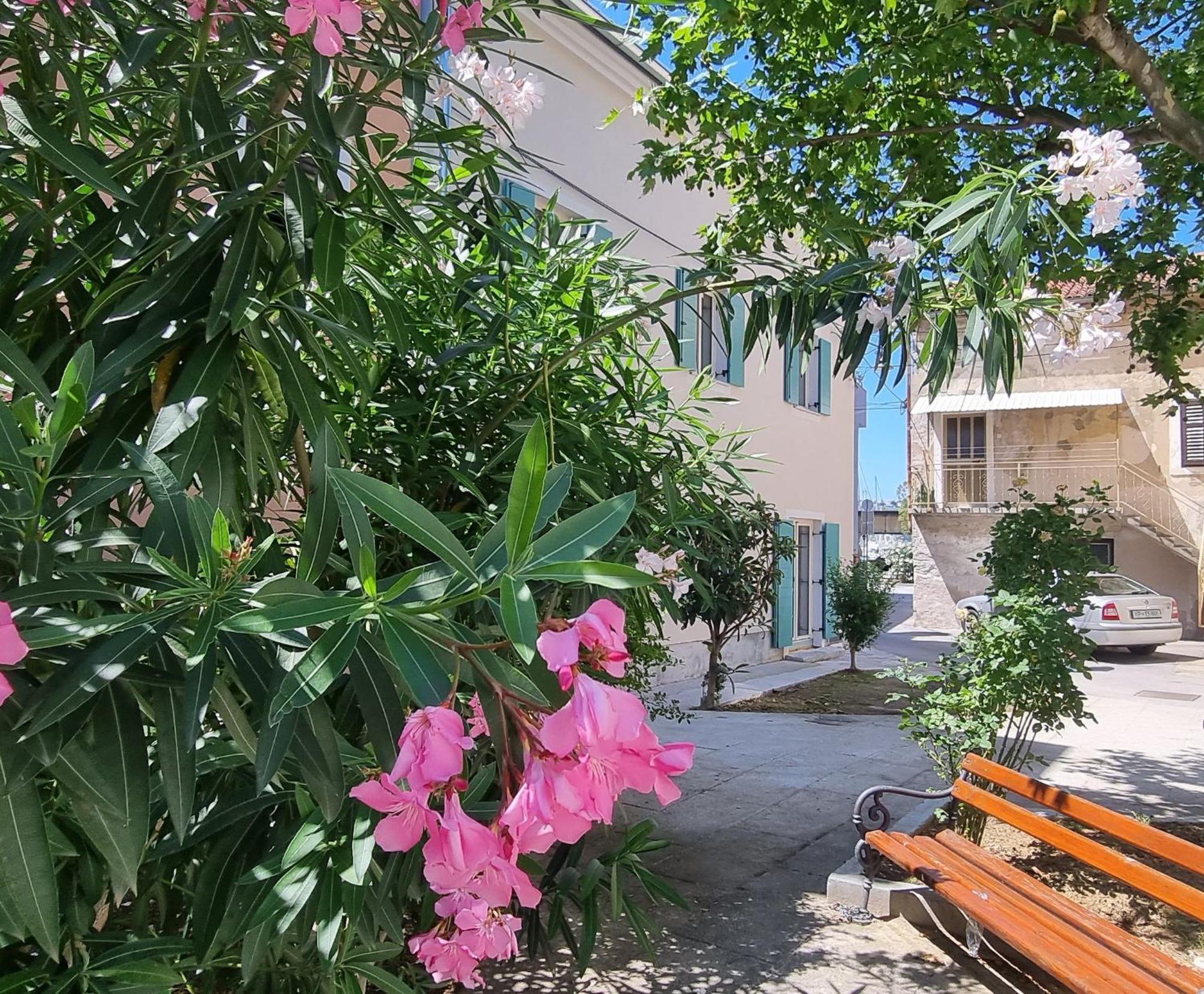 Dea Del Mar Apartments Izola Buitenkant foto